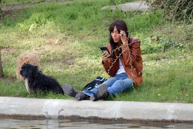 Girl with two dogs relaxing